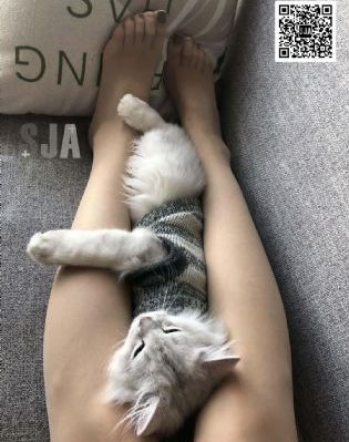 教室里的激情电影