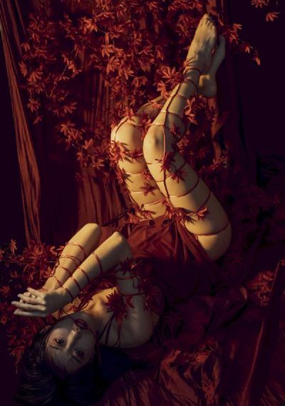 欧美亚洲精品suv一区