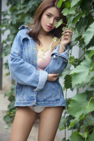 与君歌免费观看完整版电视剧全集