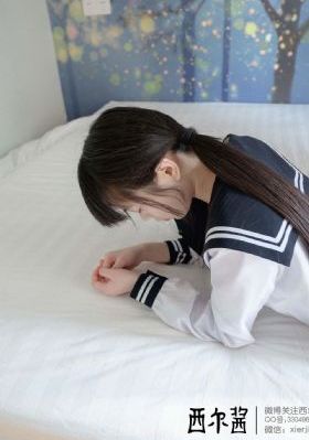 电视剧《大决战》全集