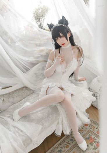 我的团长我的团53集全免费