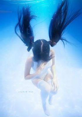 《流浪狗》电影