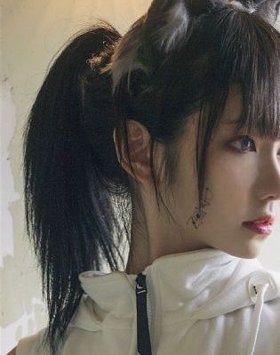 王的女人电视剧免费观看完整版